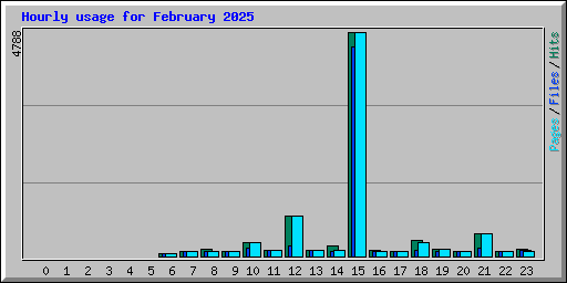 Hourly usage for February 2025