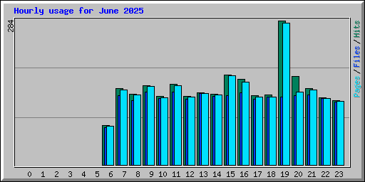 Hourly usage for June 2025