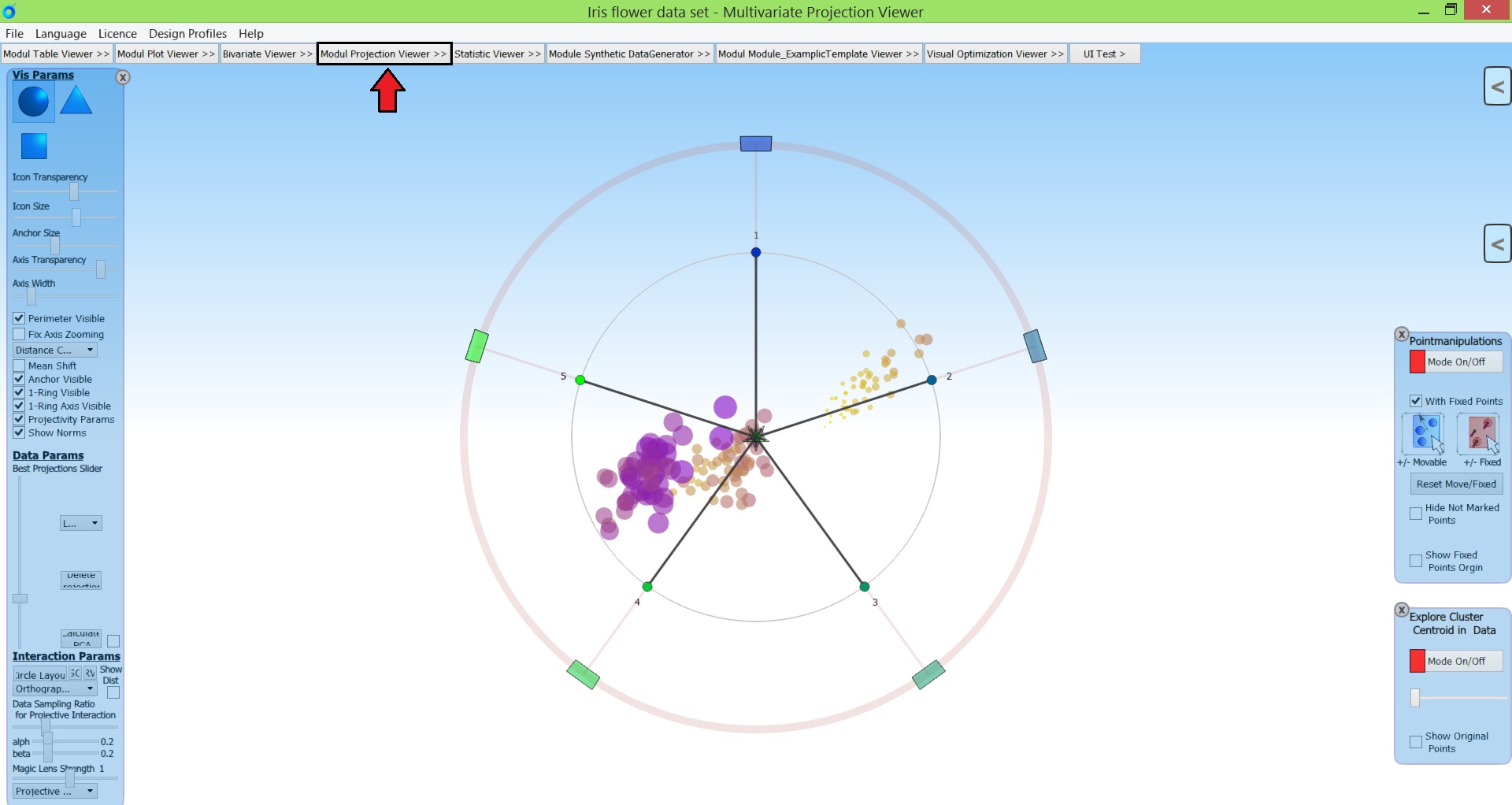 Module ProjectionViewer